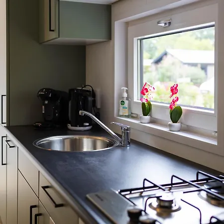 Luxe Vakantiechalet Met Royale Tuin Op De Veluwe