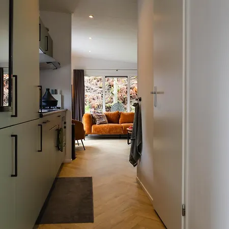 Chalet Luxe Vakantiechalet Met Royale Tuin Op De Veluwe Epe