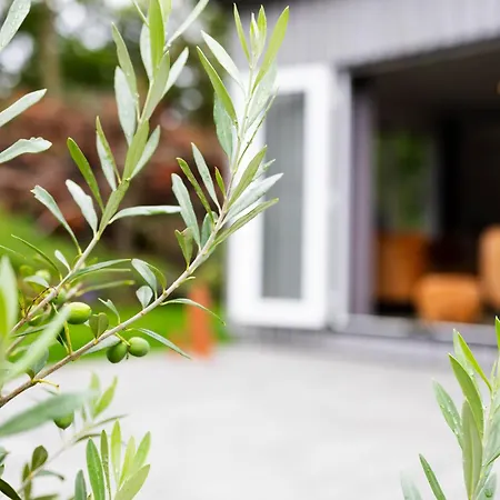 Luxe Vakantiechalet Met Royale Tuin Op De Veluwe *