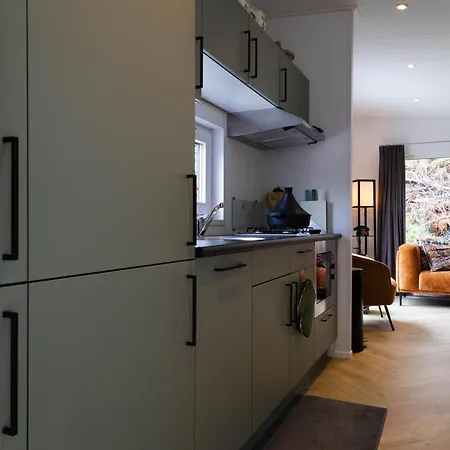 Luxe Vakantiechalet Met Royale Tuin Op De Veluwe