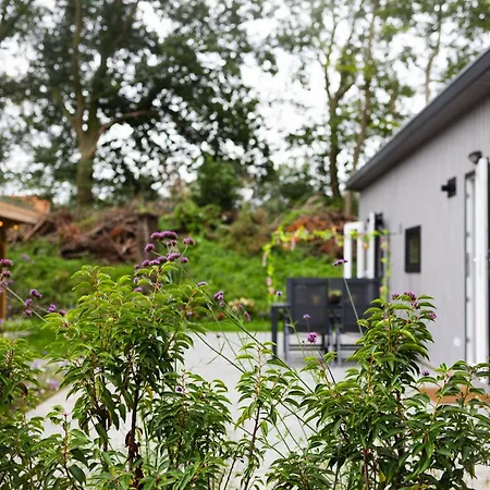 Luxe Vakantiechalet Met Royale Tuin Op De Veluwe Chalet Epe