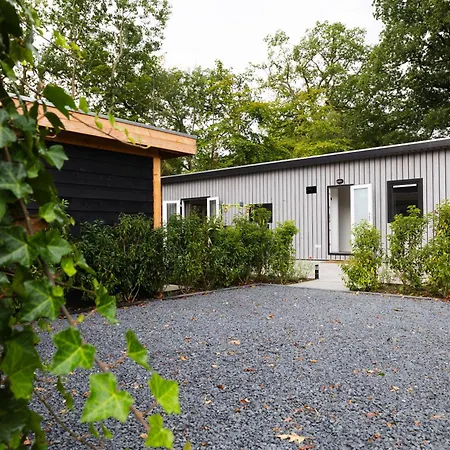 Luxe Vakantiechalet Met Royale Tuin Op De Veluwe Chalet Epe