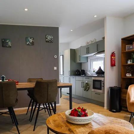 Luxe Vakantiechalet Met Royale Tuin Op De Veluwe Epe